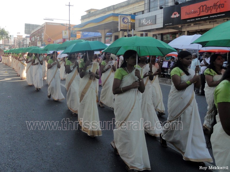 school-kalolsavam (58)